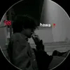 h.a.w.a._.98
