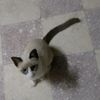 nawres.bellil.16