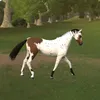 bossyalien
