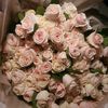 user2509846021852