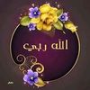 user2523213568194