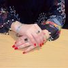 soni.mehr44