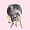 tmy.tenten
