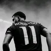 slowcalvo