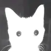 hiiragiutenachan