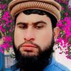 imdad.ullah6872