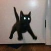 xoosies
