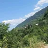 elamihaela88