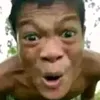 daucula0