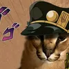 user251015183436