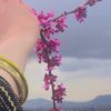 lida.ahmadi3