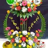 farid_afg1