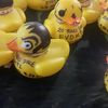 moshpitducks