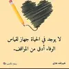user68029955196023