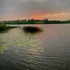ticktok03081976