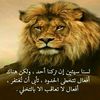 user4005324865601