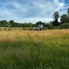allbristol