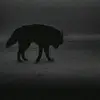 zq7_11