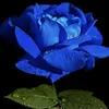 user610478881803