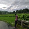 mi_nh_az26