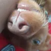 randomrandorandomly