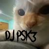 dj_pzk3