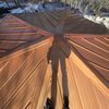 Bearded Roofer