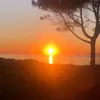 capucine_23
