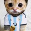 ba_cat0