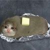 bakedCat43