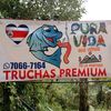 truchaspremium.yhikingcr