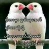 myalm13al