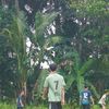adiii.13._