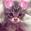 1.hello_kitty0