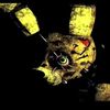 doommerpr