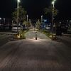 ali793961