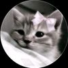 your.sumuu