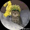 tran.thanh5679