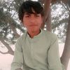 lal.gul425