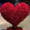 adee.khan06