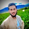hamidullah.hamadr