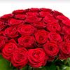 user20810194956805