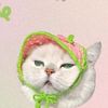 pebiynh_