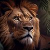 selman.arslan4