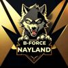 nayland80