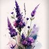 lavender.flower66