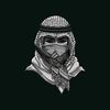user2454114497779