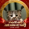 chy.xinh.gi