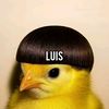 luis433017