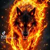 user5548130200858